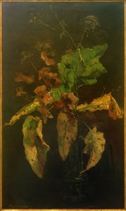 Anémonas y hojas de Floris Verster