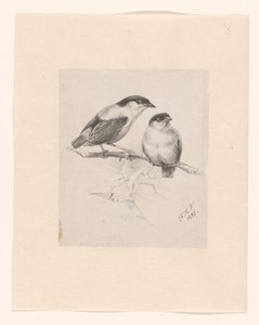 Dos tetas en una rama de Floris Verster