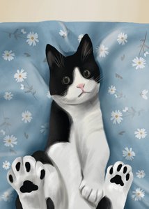 El simpático gato de esmoquin de Flow Line