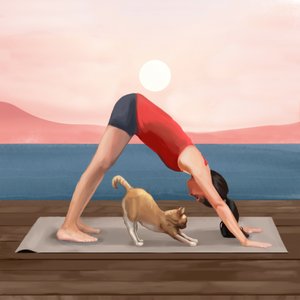 Yoga del gato al amanecer