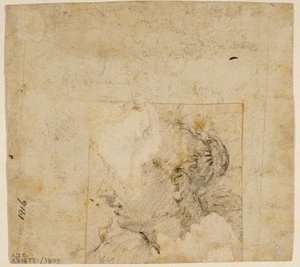 Cabeza Femenina de Perfil a la Izquierda; Boceto de Árboles y Edificio de Follower of Jacopo Bassano
