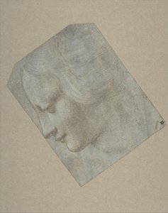 Cabeza de una mujer de perfil mirando a la izquierda de Follower of Leonardo da Vinci.