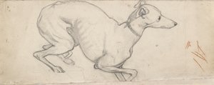 Estudio de un galgo, mediados del siglo XIX de Ford Madox Brown