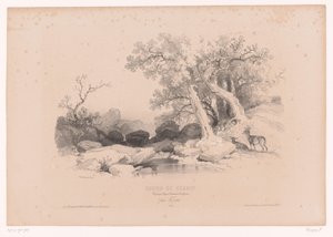 Paisaje rocoso con agua y dos ciervos. Curso de dibujo con estudios de paisajes, animales y detalles (título de la serie) Curso el diseño. Paysages, figures, animaux, accessories, de Férogio (título de la serie sobre el objeto)