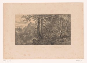 Dos cazadores en un bosque de los Pirineos
Hunting in the Pyrenees / Jagdparthie in den Pyrenaën / Cazadores de los Pirinéos (España) (título en el objeto)
Figuras en un paisaje (título de la serie)
