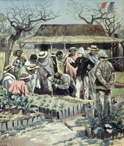 Los franceses dan lecciones de agricultura a los indígenas de Madagascar en 1897 (Grabado)