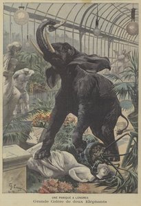 Dos elefantes enfurecidos causando estragos en Londres de Fortune Louis Meaulle