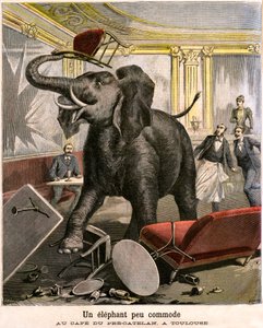 Un elefante incómodo: el paquidermo escapa de una menagerie de circo y rompe todo en el café de Pre-Catelan en Toulouse. Grabado por Meaulle y Meyer en la última portada del suplemento ilustrado del PETIT JOURNAL n 51 del 14 de noviembre