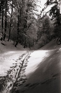 Silencio y misterio de Fosco Maraini