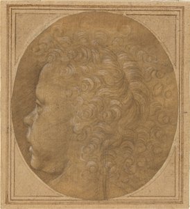 Cabeza de un niño [recto]