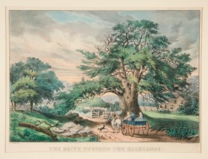 El viaje a través de las tierras altas de Frances Flora Bond Palmer