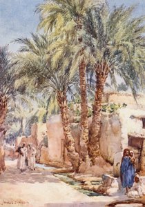 The Palm Village (litografía en color) de Frances Nesbitt