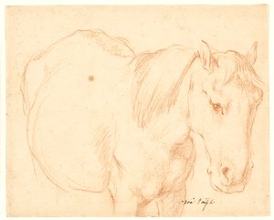 Un caballo de Francesco Fernandi