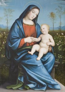 Virgen con el Niño en la rosaleda, Raibolini Francesco llamado Francesco Francia (óleo sobre tabla)