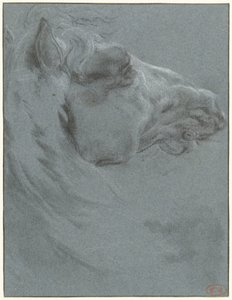 Cabeza de caballo de Francesco Giuseppe Casanova
