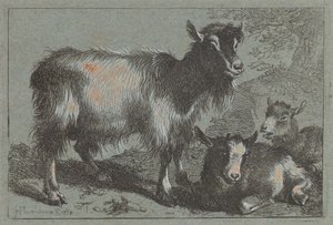 Cabra y dos cabritos, 1758