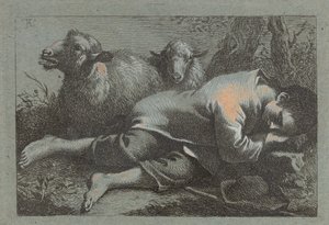 Niño campesino durmiendo cerca de dos ovejas