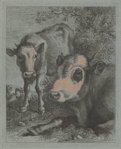 Vaca y ternero reclinados al aire libre