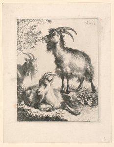Tres cabras