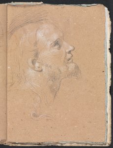 Cuaderno de bocetos de Verona: Cabeza masculina de perfil (página 91) de Francesco Lorenzi