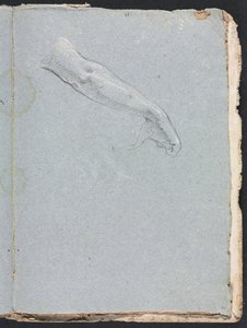 Cuaderno de bocetos de Verona: Brazo derecho y mano página 95, 1760