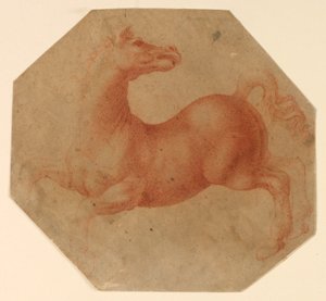 Estudio de un Caballo Encabritado después de Leonardo da Vinci de Francesco Melzi