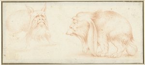 Dos muestras de Francesco Melzi