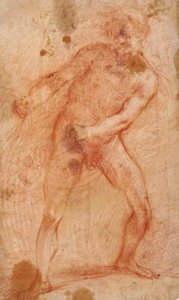 Desnudo masculino tirando de una red (?) de Francesco Montelatici