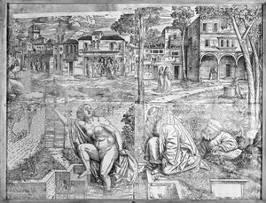 Transfiguraciones de Francesco Pozzi