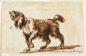 Perro aullando (anverso), c.1700-50 (tiza negra, pluma y tinta marrón, aguada marrón, grafito sobre papel verjurado) de Francesco Simonini