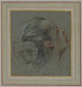Cabeza de una niña de perfil
