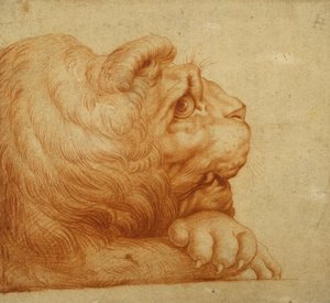 Cabeza de un león en perfil de Francesco de Rossi Salviati Cecchino