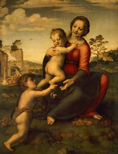 Nuestra Señora del Pozo, hacia 1517, por Franciabigio (1482-1525), temple sobre madera