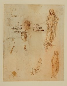 Tres perfiles;orejas;dos Apolos ... de Francesco di Simone (attr. to)