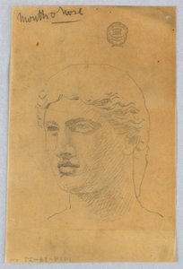 Boceto de la cabeza de un joven