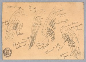 Bocetos de alas de Francis Augustus Lathrop