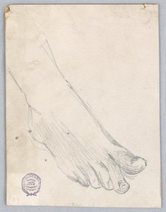 Estudio del Pie Derecho de Francis Augustus Lathrop