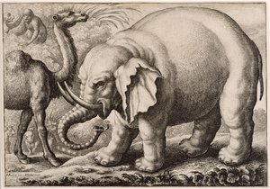 Un elefante y un camello, grabado por Wenceslaus Hollar (1607-77) 1663 de Francis Barlow