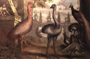 Colección de aves de Francis Barlow