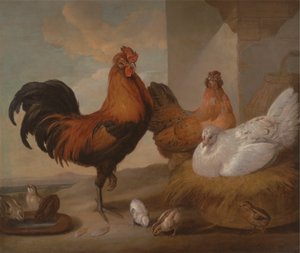 Gallos, gallinas y pollitos domésticos de Francis Barlow
