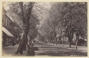 Cheltenham, el Paseo, 1860-94 de Francis Bedford