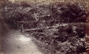 Colwyn Bay. Puente rústico en el bosque, 1870s de Francis Bedford