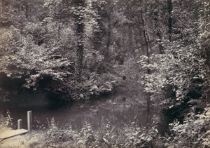 Colwyn Bay. La Piscina en el Bosque, 1870s de Francis Bedford