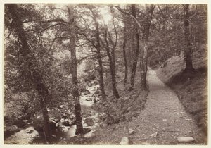 Dolgelley, Vista en el Paseo del Torrente de Francis Bedford