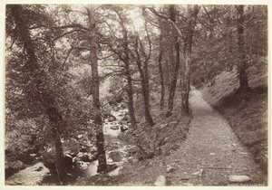 Dolgelley, Vista en Torrent Walk, 1860-94 de Francis Bedford