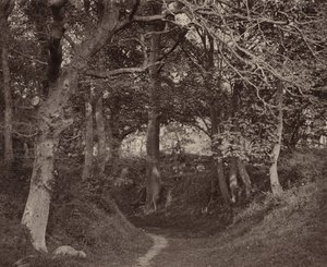 Glen Kenilworth,c. 1868 (foto) de Francis Bedford