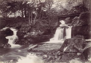 Glen Lun. El Puente Rústico, 1870s de Francis Bedford