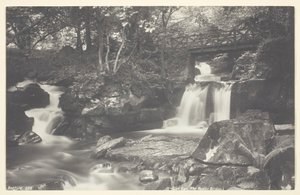 Glen Lyn, el Puente Rústico de Francis Bedford