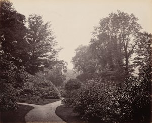 Camino en Alexandra Park,c. 1863 (foto) de Francis Bedford