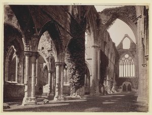 Sin título [Abadía de Tintern], 1860-94 de Francis Bedford